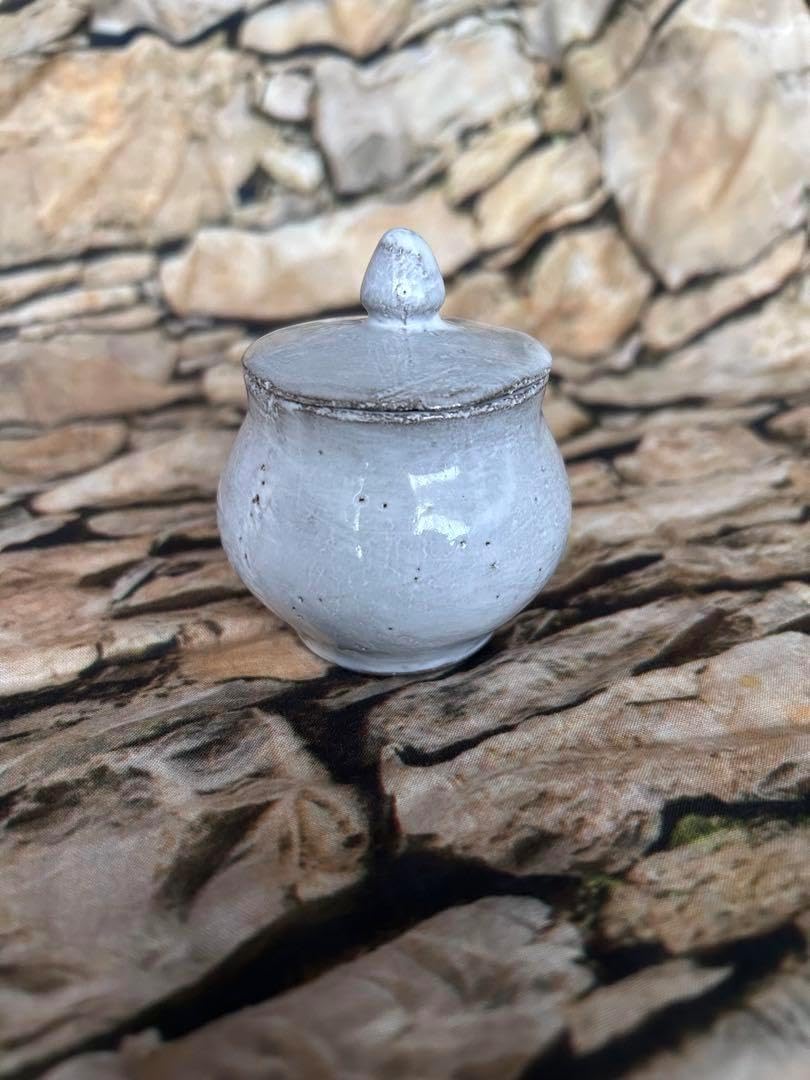 アスティエ　シュガーポット ASTIER de VILLATTE シュガーポット ASTIER de VILLATTE - アスティエ