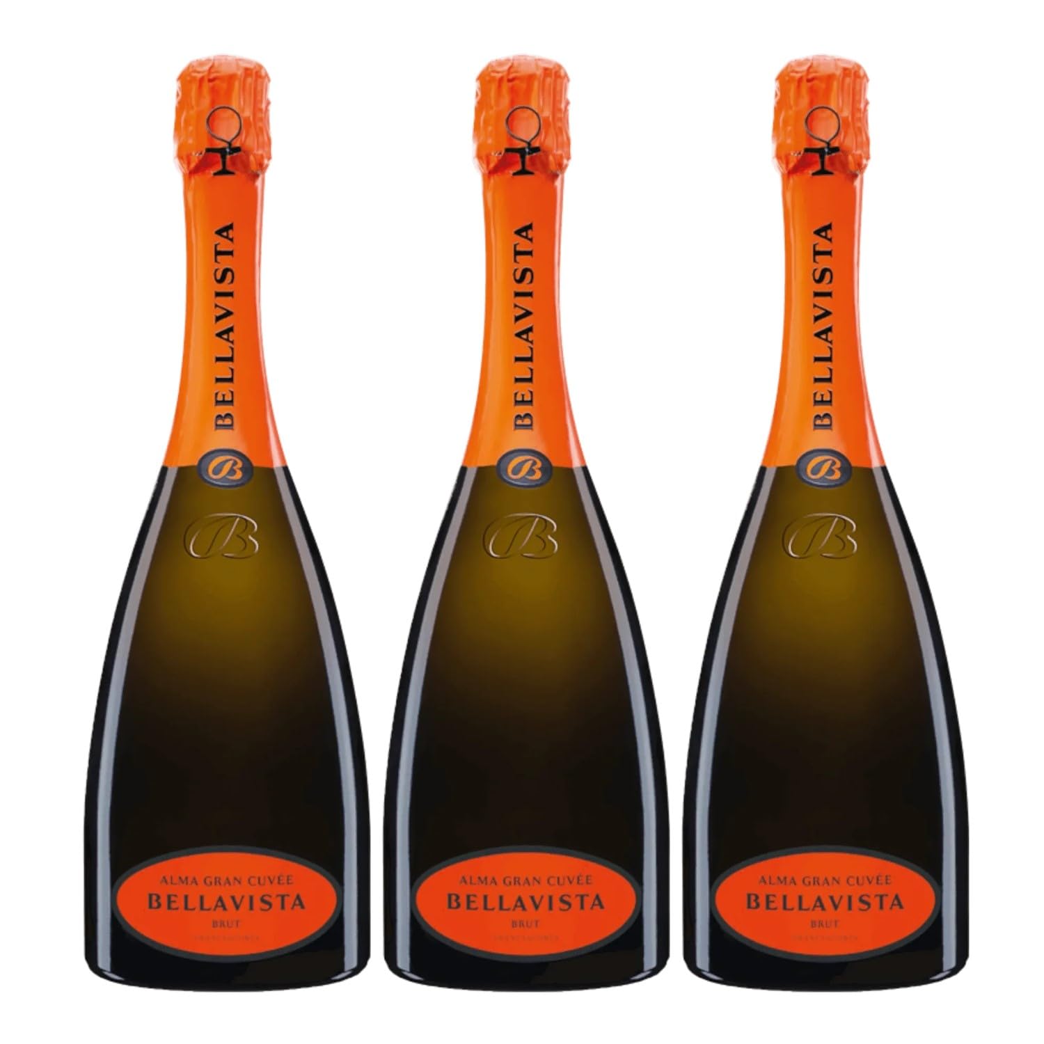 Bellavista Franciacorta Alma Gran Cuvée Brut Chardonnay Pinot Nero Pinot Bianco Schaumwein weiß brut Lombardei Italien inkl. FeinWert E-Book (3 x 0,75l)