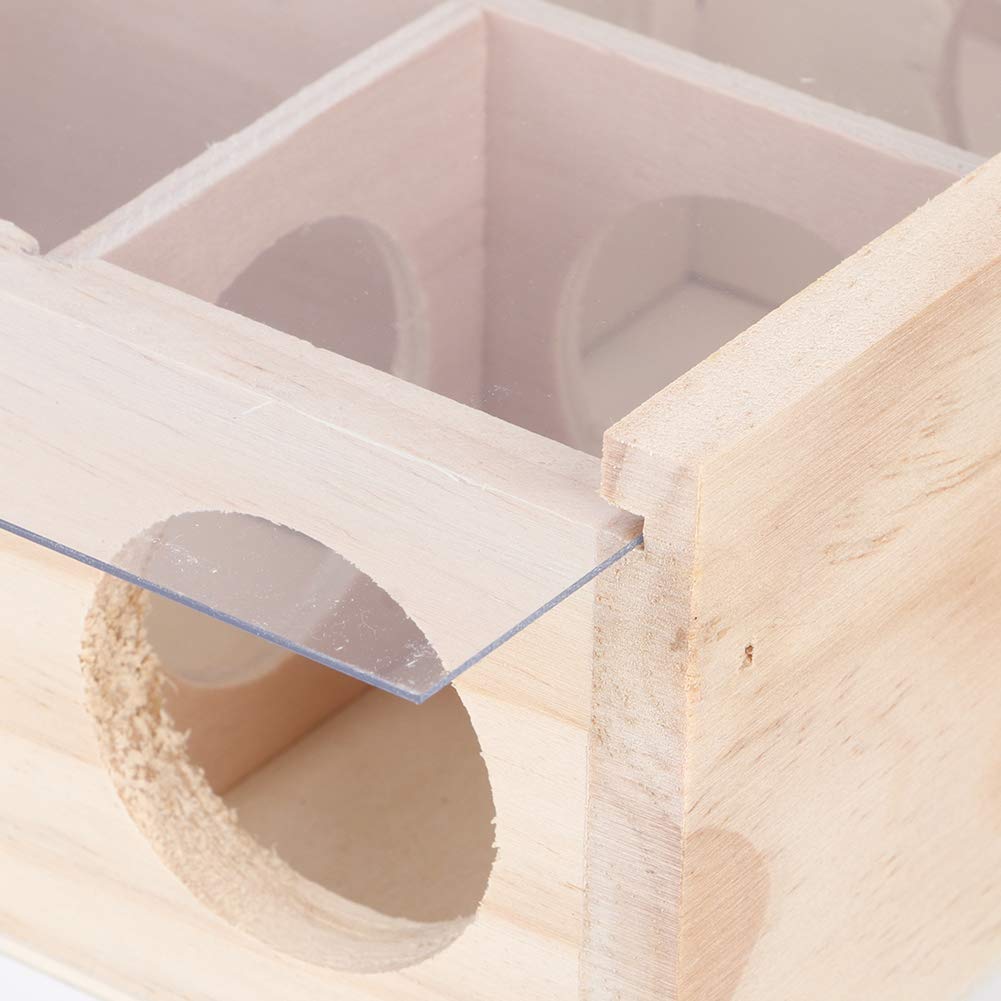 Yctze Wood Hamster Maze Toy with Acrylic Glass, Interactive and Intelligent Pet Toy Ideal for Mice Hamster - Image 2