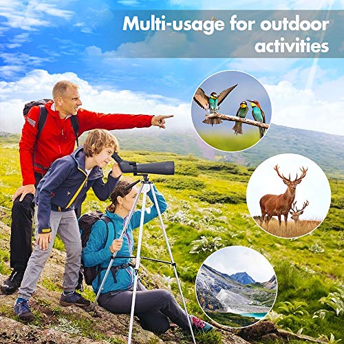image for VIVREAL 20-60x80 HD Spotting Scopes with Tripod, 45-Degree Eyepiece Wa