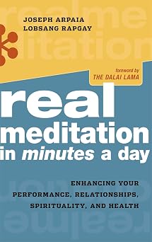 Real Meditation in Minutes a Day Enhancing Your Performance, Relationships, Spirituality, and Health