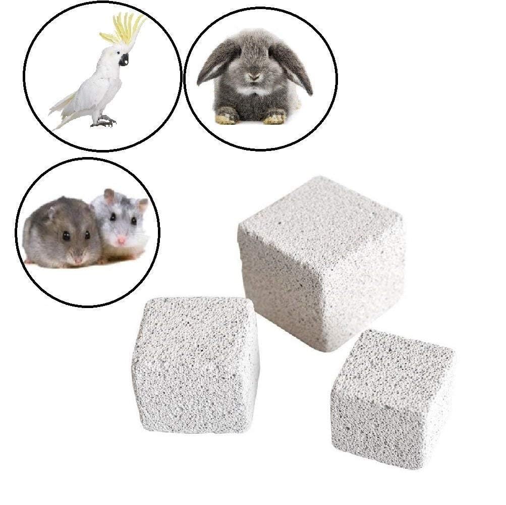 Snapklik.com : 10 Pcs Chinchilla Lava Blocks Flower Shape Bunny Lava ...