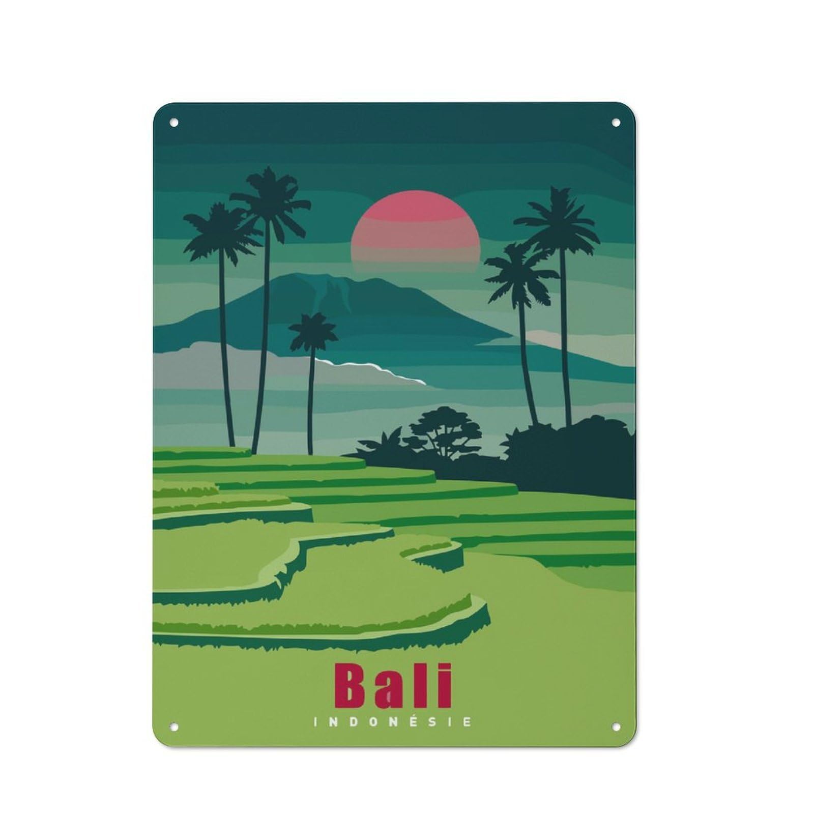 Junmoney Style-11 Bali, Indonesia Travel Vintage Tin Sign 40X30cm For Garage Wall, For Everyday Room Decor With A Vintage Look