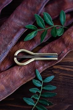Jews Harp, Vargan, Professional