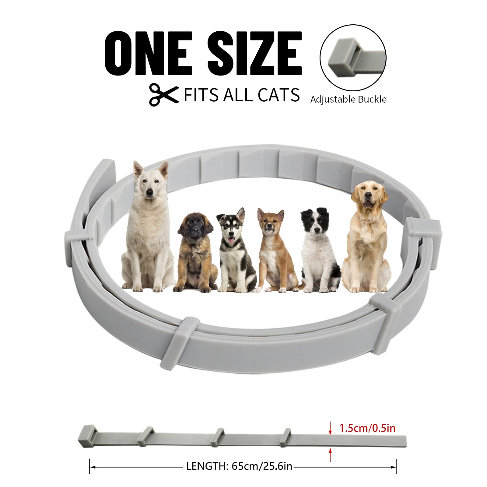 Collare Antiparassitario Per Cani | Protezione 8 Mesi Da Pulci E Zecche | Impermeabile, Taglia Unica