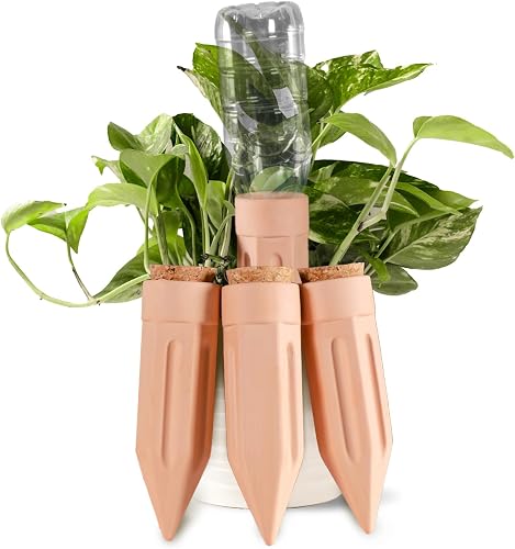 Terre Cuite à Planter Ollas