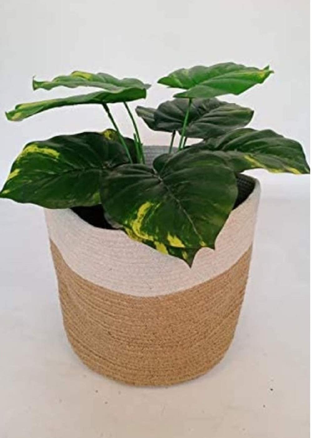 See full amazon price history chart for NEWWAYSS Bhuvan Handloom Natural Jute Planter Pots/Storage Basket, Multi-Purpose use for Living Room 10x12 inch NEWWAYSS Bhuvan Handloom Natural Jute Planter Pots/Storage Basket, Multi-Purpose use for Living Room 10x12 inch (B095J98BVB) Amazon Price History, Amazon Price Tracker