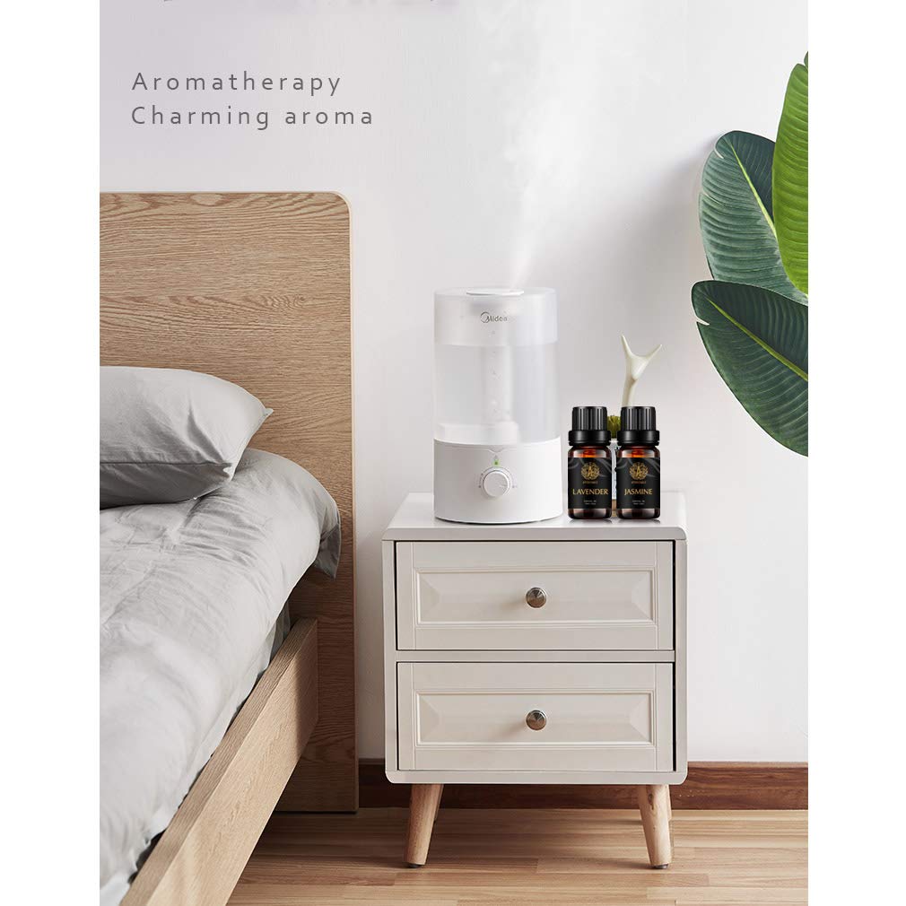 Aromatherapie Vetiver ätherisches Öl Set für Diffusor, 8x10ml 100% reine Clary Salbei ätherisches Öl Kit für Hause - Jasmin, Lavendel, Patchouli, Rose, Sandelholz, Ylang Ylang ätherisches Öl set