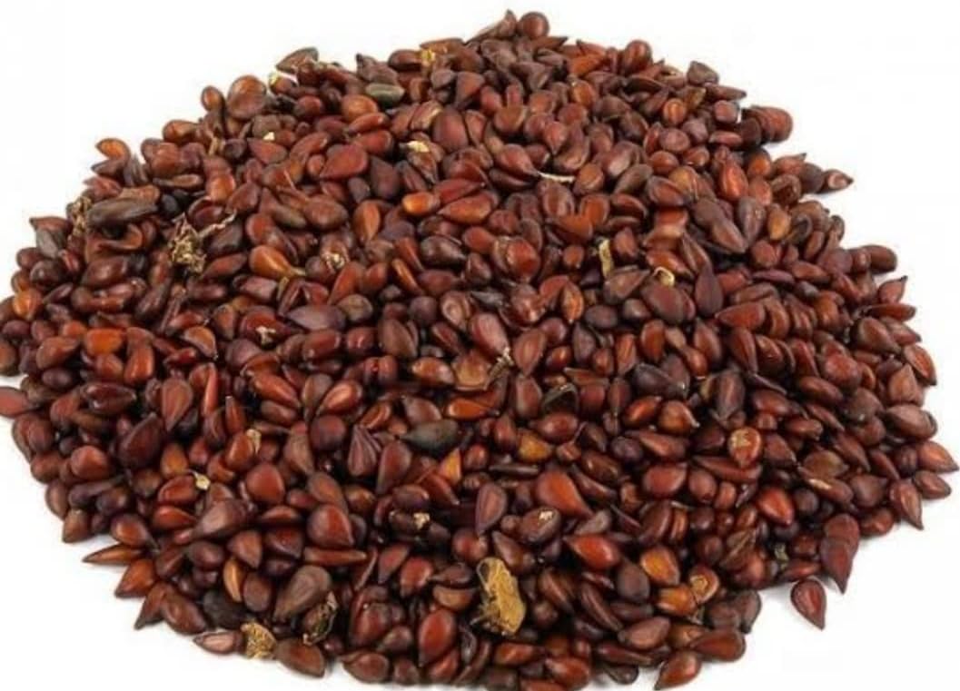 Kohinoor Hub Bedana - Bidana Seeds - Pyrus Cydonia - Quince Seeds (1kg)