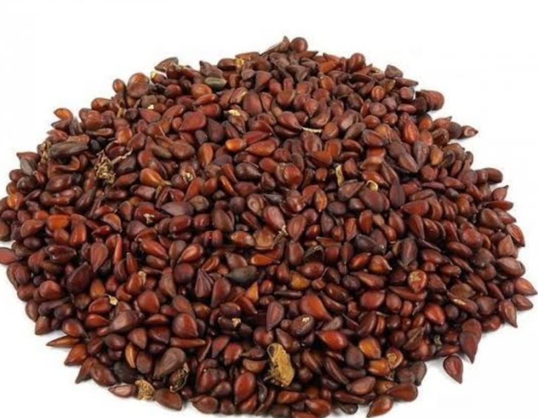 Kohinoor Hub Bedana - Bidana Seeds - Pyrus Cydonia - Quince Seeds (1kg)