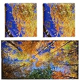Hortsun Pack of 2 Fluorescent Light Covers 4 x 2 Feet Magnetic Ceiling Light Cover Room Supplies for Home Office(Fall Forest)