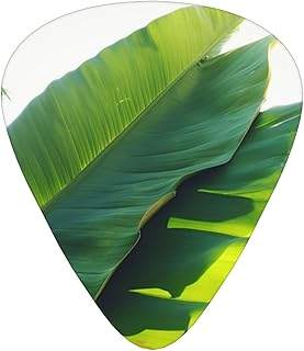 Banana leaf Guitar Picks 12 Pack Bass Picks with Organizer Box Guitar Plectrum Includes Thin Medium Heavy Guitar Picks Ukulele Picks for Bass Acoustic Electric Guitars