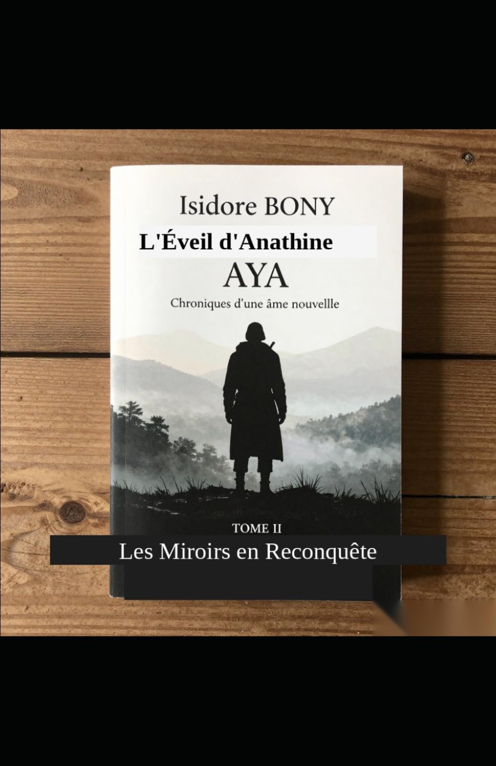 L'Éveil d'Anathine AYA: Les Miroirs en Reconquête: 2 (Chroniques d’une âme nouvelle.)