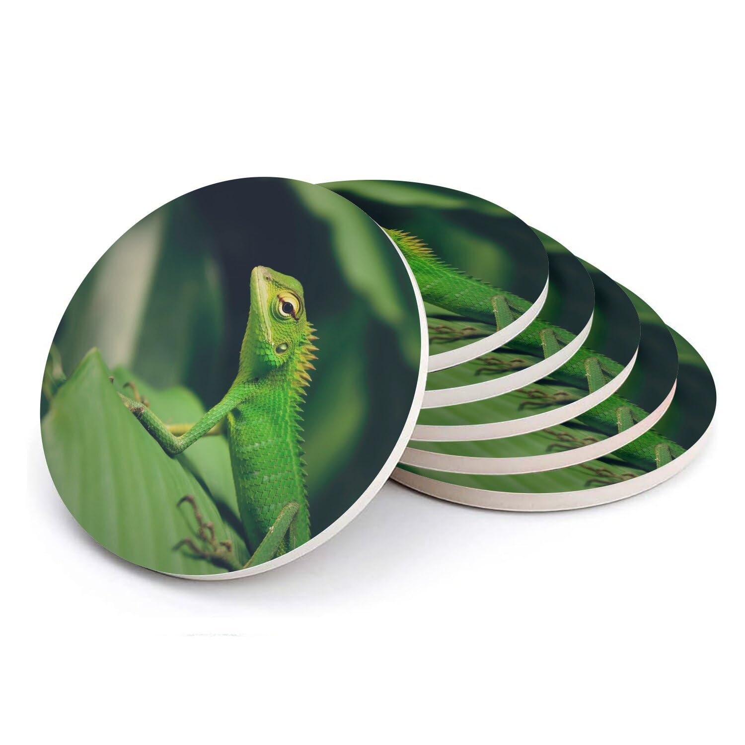 Lézard vert de Bornéo sous-verre en céramique pour embellir vos tables basse de salon