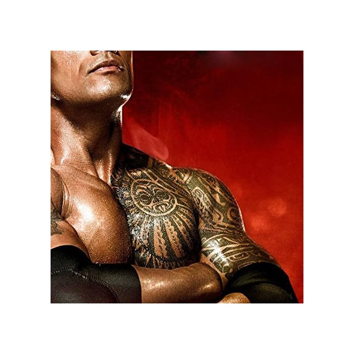 Buy Set 1 Dwayne Tattoos Leoars 2 Sheets Extra Large Temporary