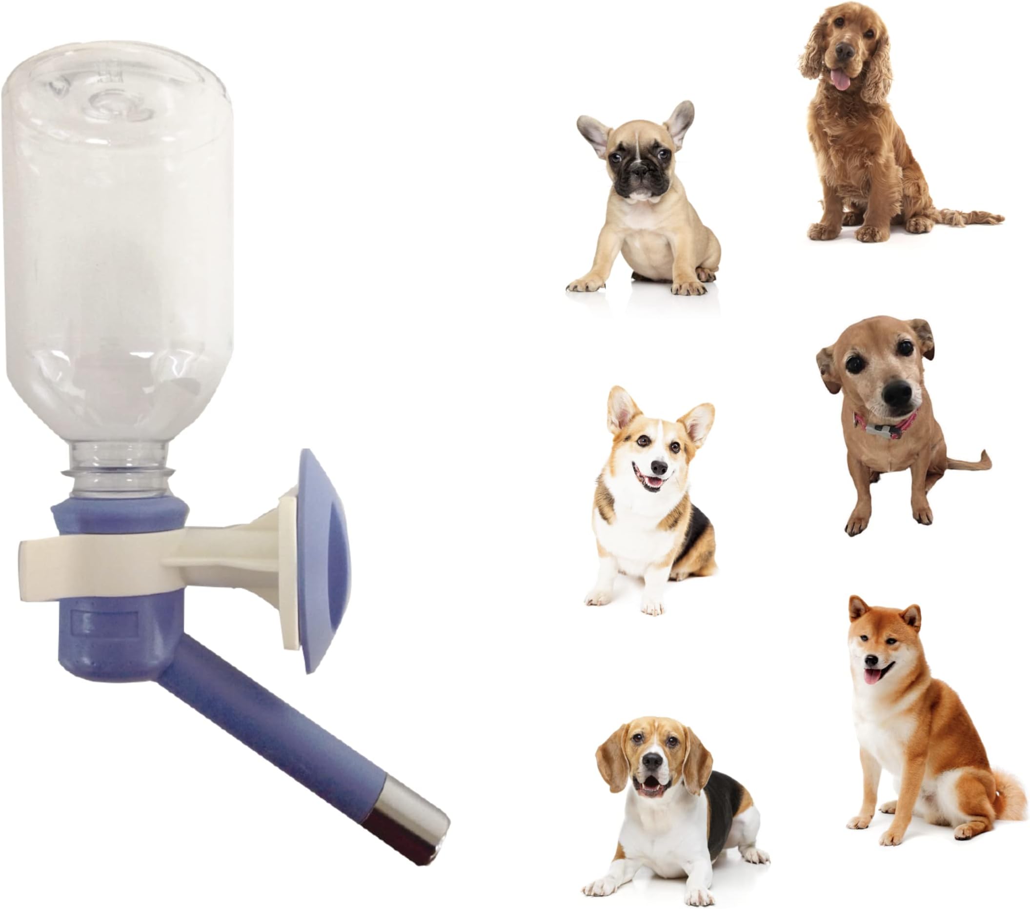 Choco Nose H590 Pet Water Feeder, for small-sized dog/ cat/ rabbit water bottle, BPA Free, No Drip, 11.2 oz /...
