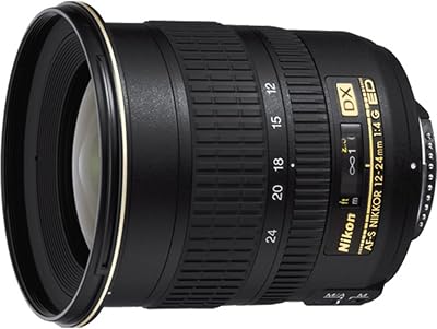 Nikon 12-24 mm f/4.0 S DX ED-IF – Objetivo para Nikon (Distancia Focal 12-24mm, Apertura f/4, diámetro: 77mm) Color Negro