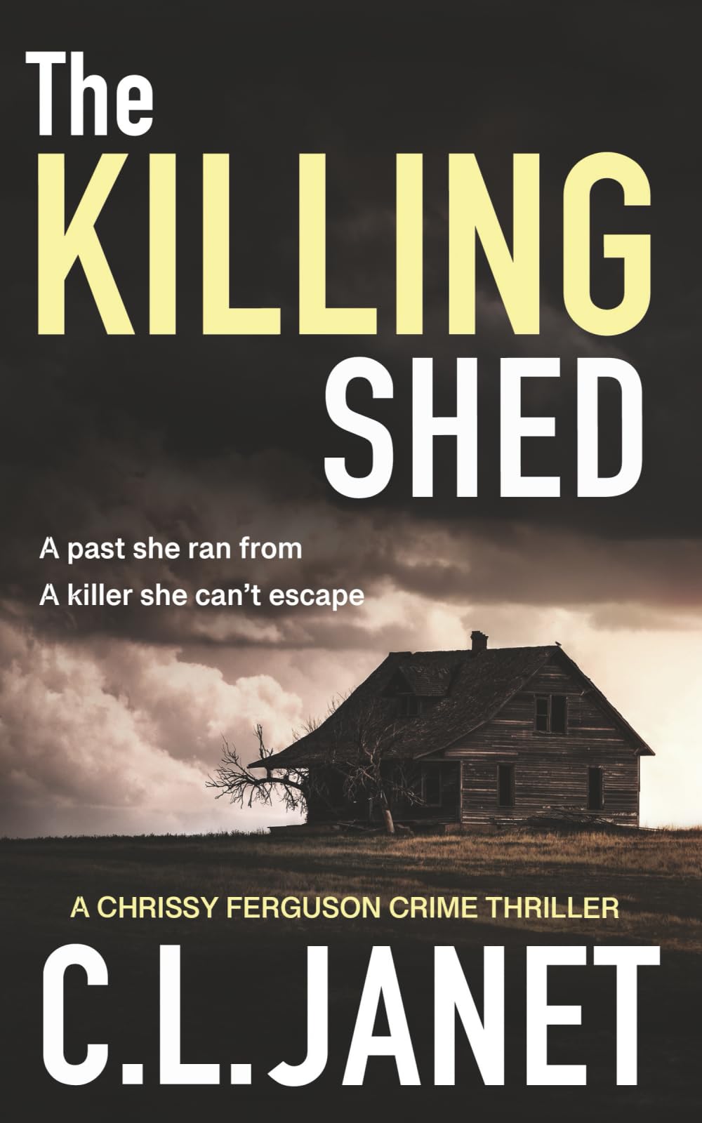THE KILLING SHED: A page-turning murder mystery set against the beauty of the Scottish Highlands (Chrissy Ferguson Book 1): Chrissy Ferguson Mystery Book 1