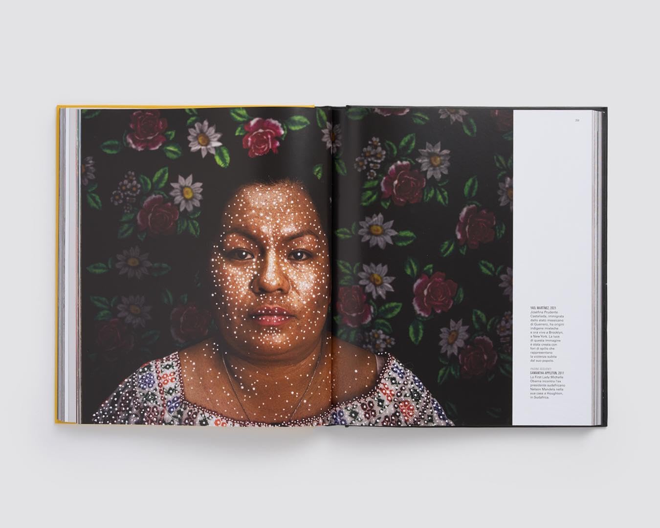Le grandi fotografie di National Geographic. Ediz. a colori