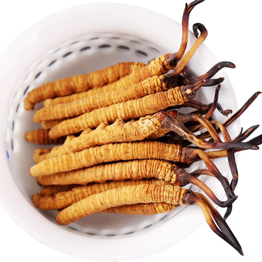 3 Grams 100% Wild Himalayan Cordyceps Sinensis Chinese Caterpillar Fungus Dong Chong Xia Cao Cordyceps Sinensis Wild Cordyceps.
