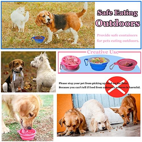 Why Did My Dog Poop In His Food Bowl