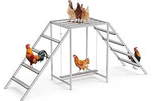 Chicken Swings for Coops with Perch and Ladder to Ensure Pet Happiness and Health