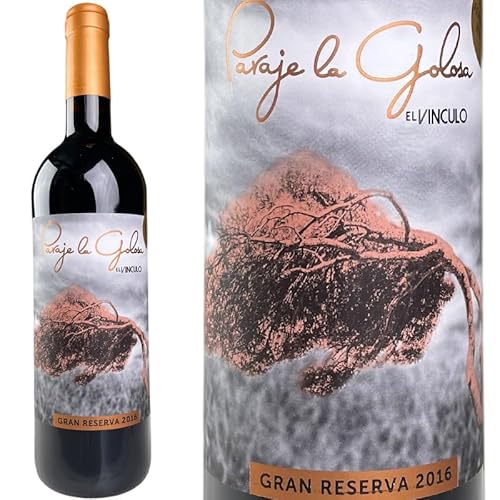 �G�� �r���N�� �O�������[���o �p���� �� �S���T �t�F���i���f�X ���}���`�� 2016 / El Vinculo G.R.Paraje La Goulosa 2016 [ES][��]