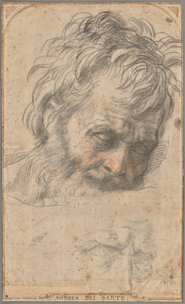 Andrea Del Sarto 16x24 Black Modern Framed Art Print Titled: Study for the Head of Saint Joseph (1526-1527)