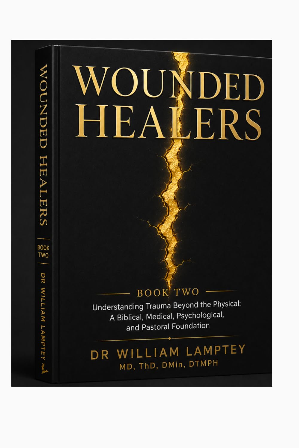 WOUNDED HEALERS: The Wounded Human System — The Psychology and Physiology of Trauma
