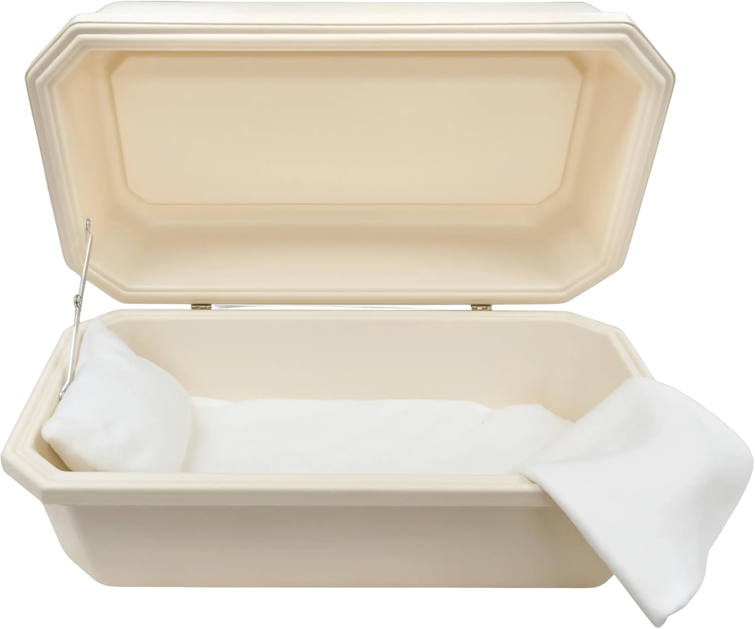 Titan Classic Almond Pet Casket with Cream Interior, Large, Rectangular, Waterproof, Soft Pillow, Fern Leaf Engraving
