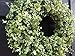 Versatile Year Round Boxwood and Eucalyptus Wreath for Front Door - Artificial Greenery Spring Summer Farmhouse Outdoor Porch Decoration - 20 22 24 Inch Options