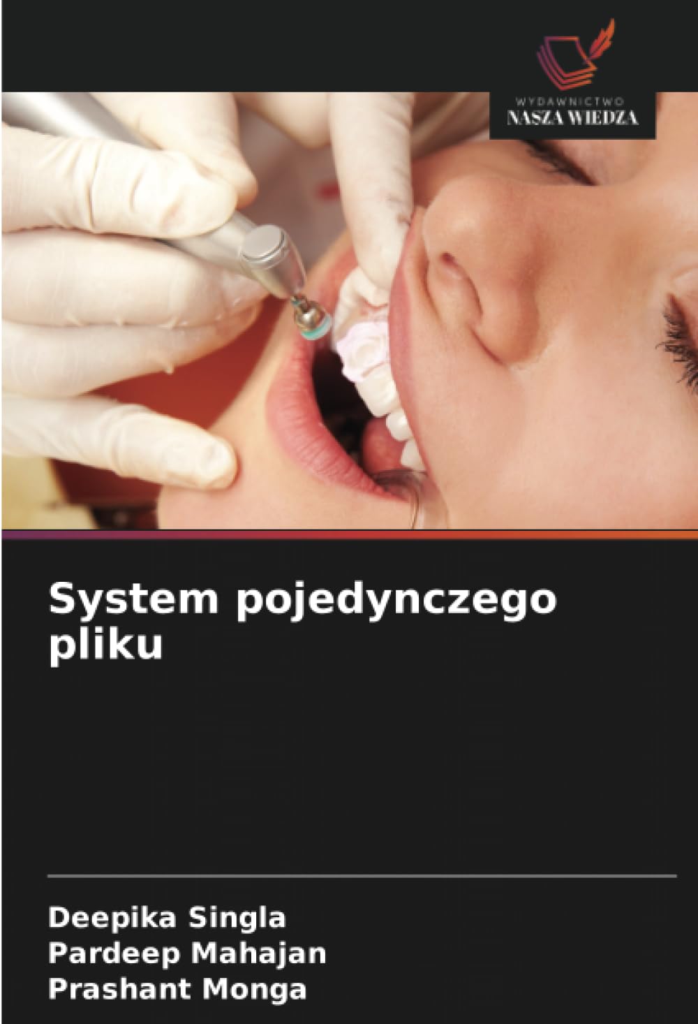 System pojedynczego pliku