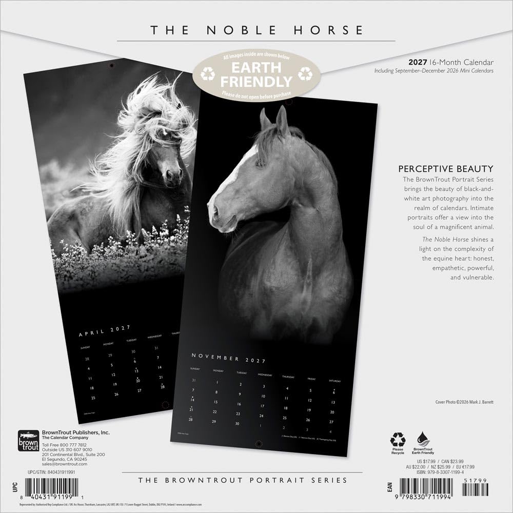 The BrownTrout Portrait Series: El Caballo Noble | Calendario mensual cuadrado de pared 2027 de 12 x 24 pulgadas (colgando) | Sin plástico | Mascotas ecuestres