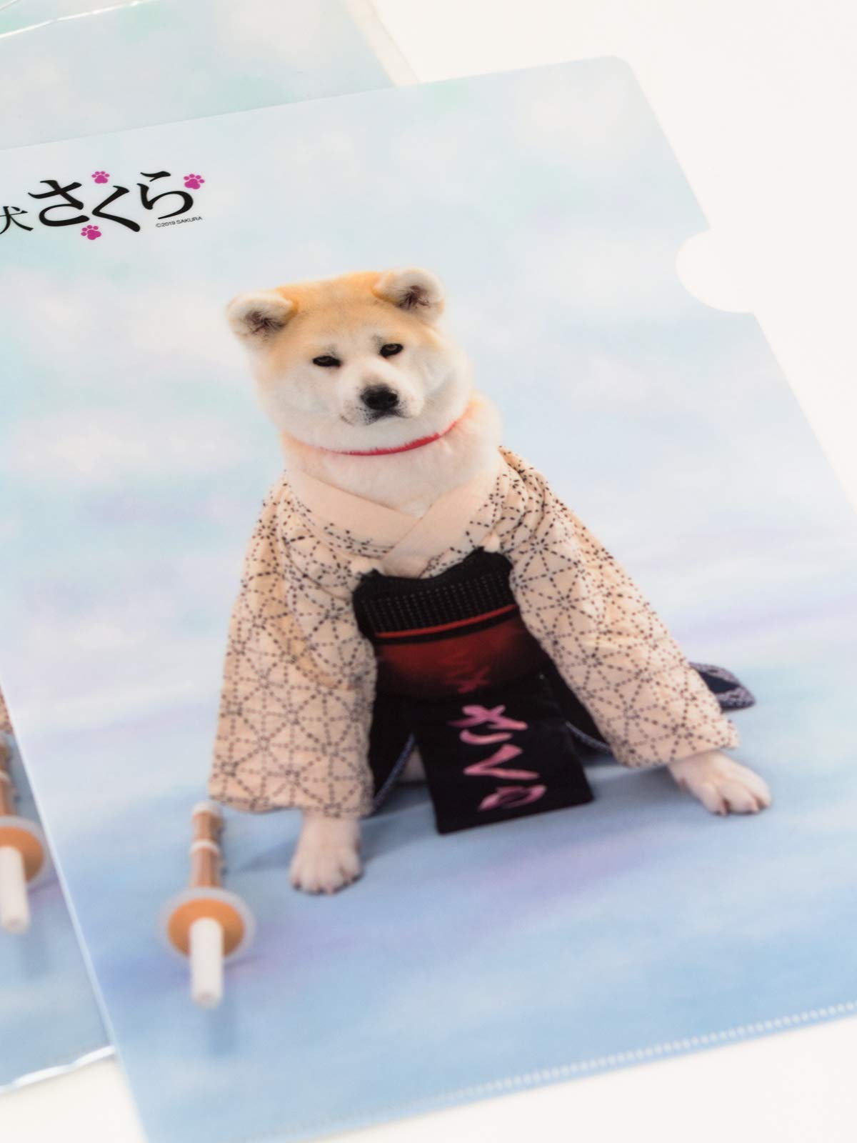 Amazon.co.jp: 秋田犬 さくら A4 クリアファイル 剣道 : 文房具
