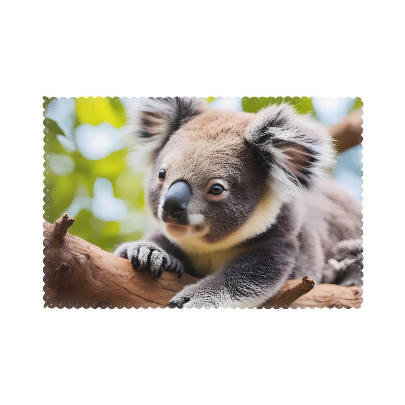 A little koala Placemats set of 6, insulated, washable, suitable for kitchen, dining room, parties, etc.