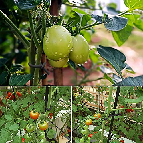 Shintop 3.5Mm Garden Ties, Reusable Plant Twist Tie Black Heavy Duty Soft Wire Tie For Gardening, Home, Office (52.5 Feet) #TOP3