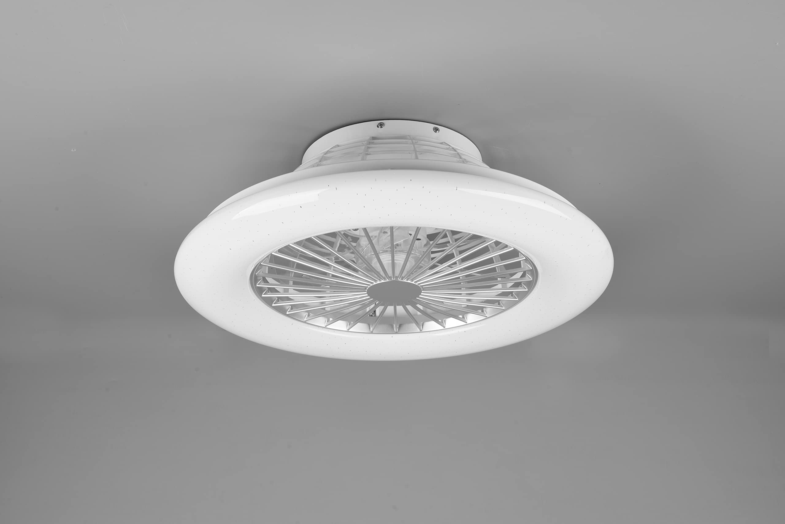 Reality, Ventilatore, Stralsund incl. 1xLED