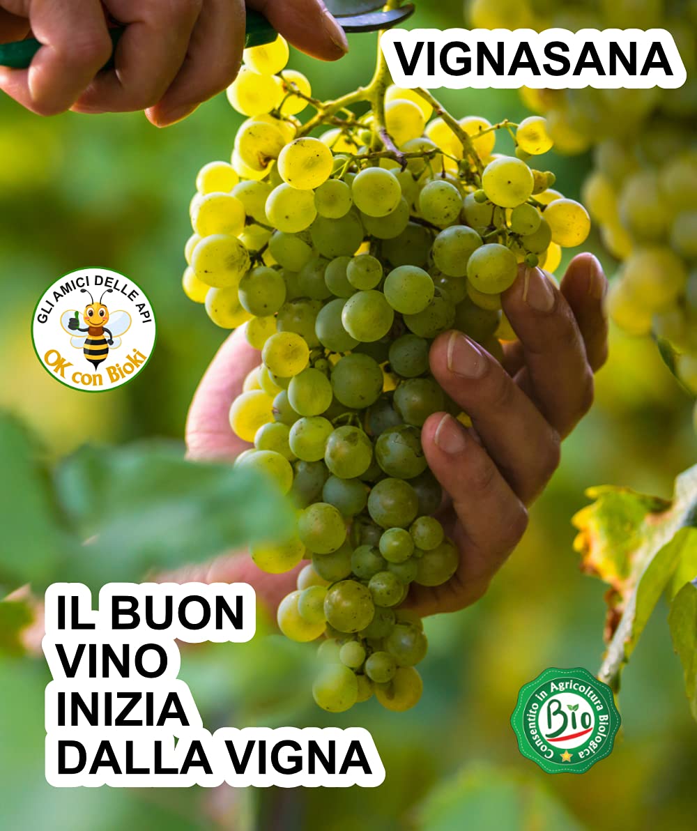 VIGNASANA Zeolite naturale 90% CLINOPTILOLITE 60% 5 kg