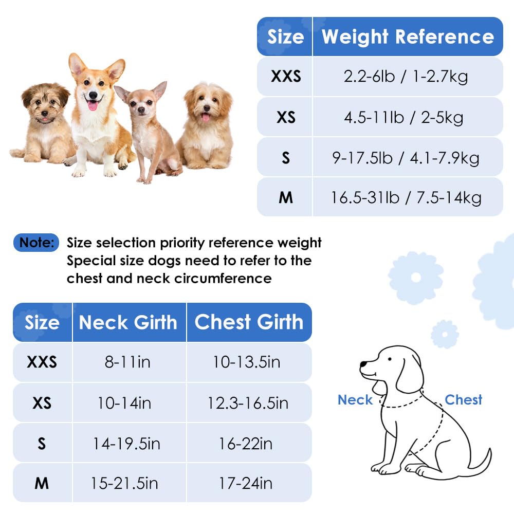 SlowTon Puppy Harness and Leash Sets - Image 3