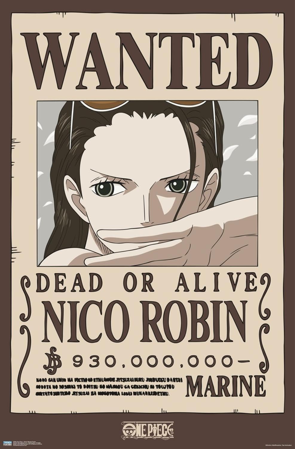 Amazon.com: One Piece - Nico Robin Wanted Poster Wall Poster, 19L