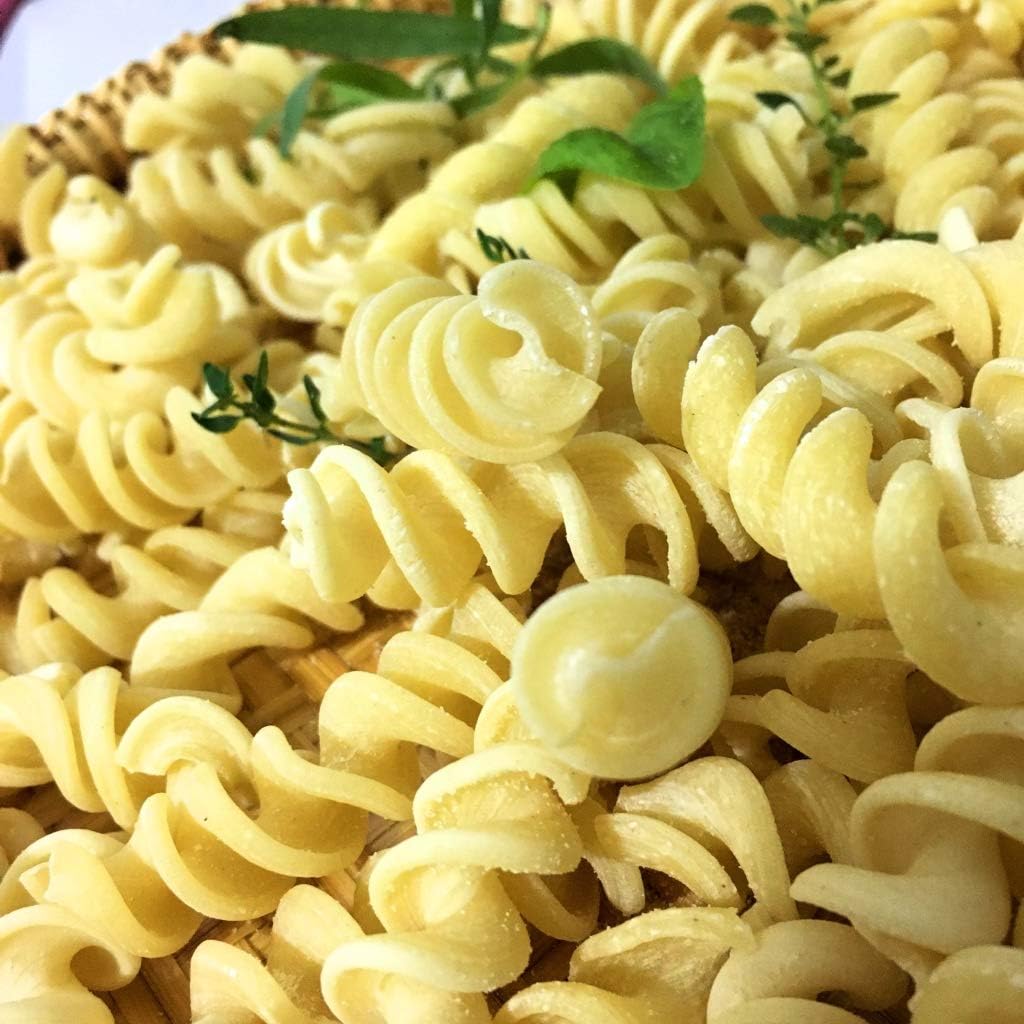 BNN - A2 Fusilli 8 mm diameter 1 mm thickness 1 mm ASFSA208 - Pasta Disc compatible with Philips Pasta Maker Avance/Serie 7000
