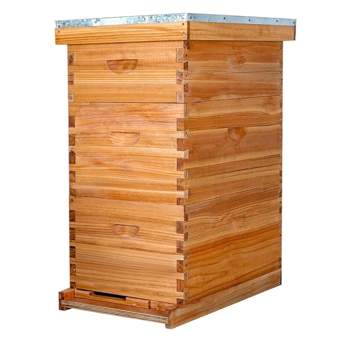 Buy Bee Hive 8 Frame Bee Hives and Supplies Starter Kit, Bee Hive for