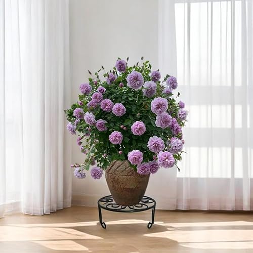 Miniatura 4 de Paquete de 2 Soportes Metálicos para Plantas de 13 Pulgadas de Diámetro para Plantas Grandes de Interior y Exterior, Soporte de Macetas Resistente