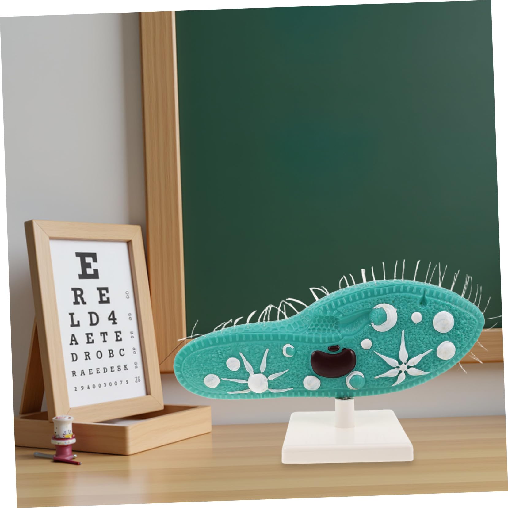 iplusmile Paramecio per Esperimenti di Biologia di Microscopio Didattico con Supporto per Laboratorio Campione per Aula di Scienze Educativo