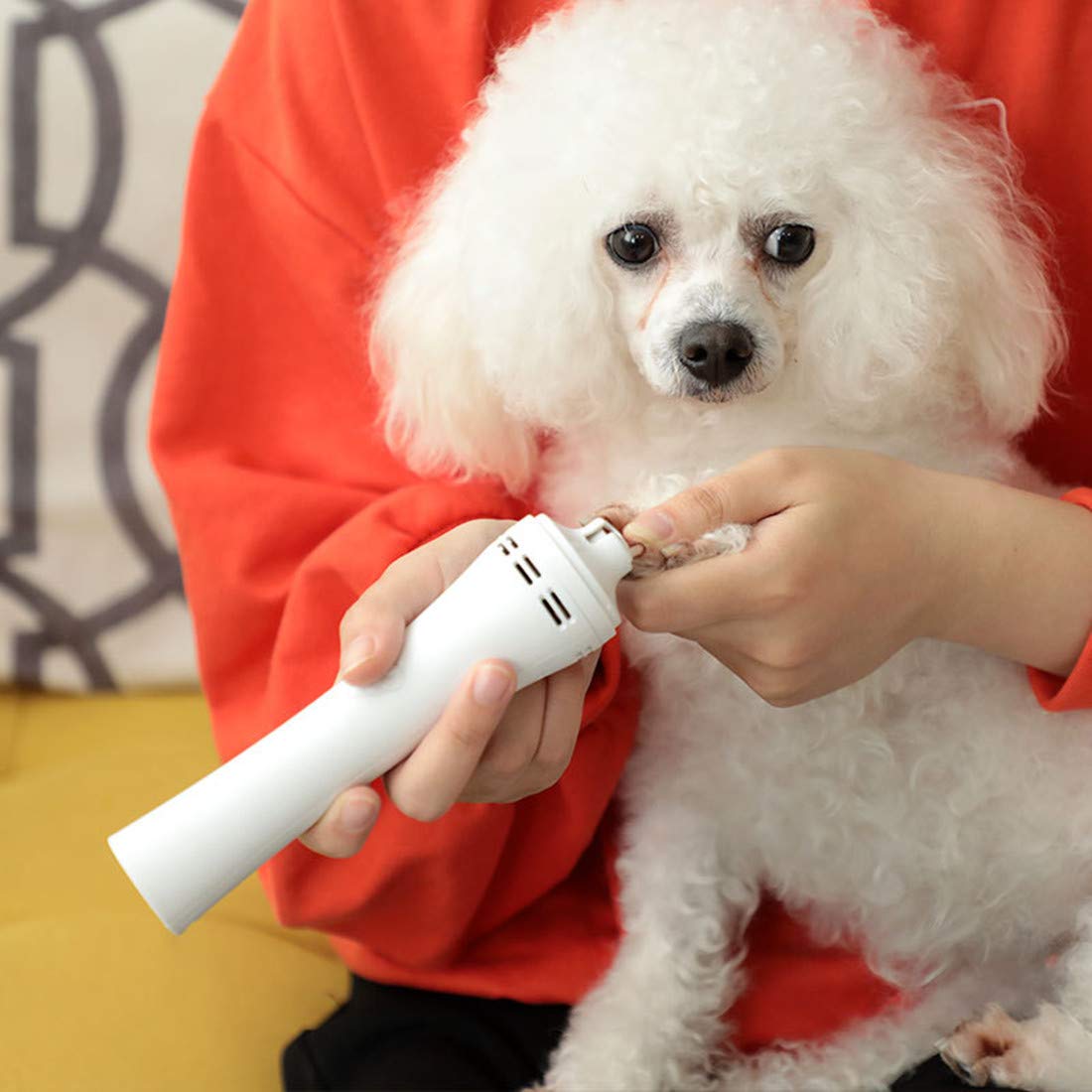 What Is Dog Nail Buffing