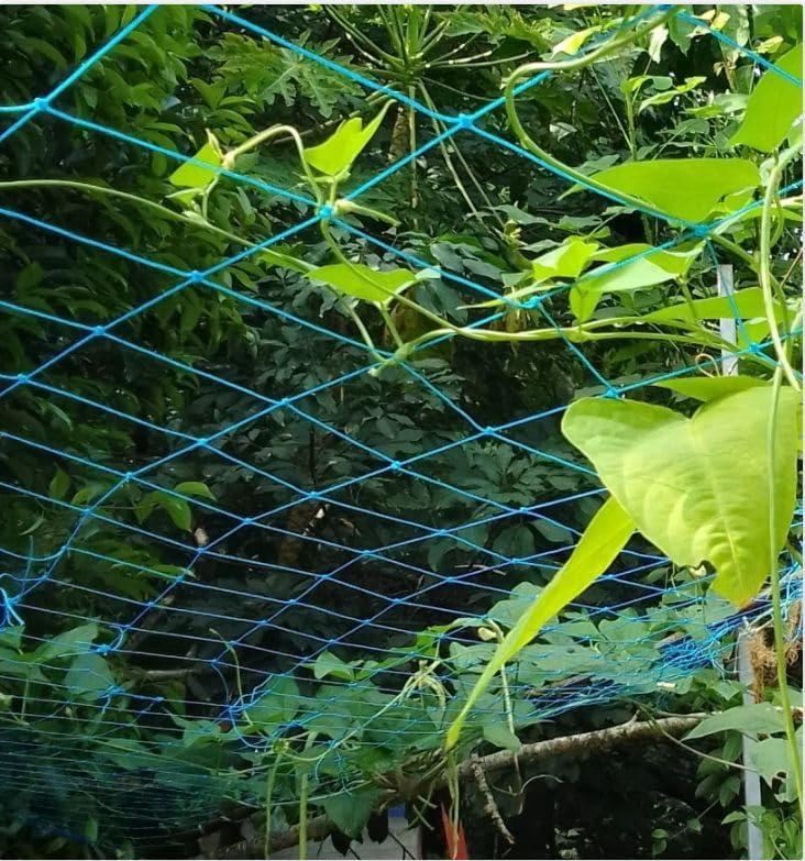 Heavy Duty Creeper Net For Plant Climbing, Gardening Netting For Vegetables And Fruit Trees, Protects Plants From Wind And Rain - 11 Feet X 16 Feet,Green