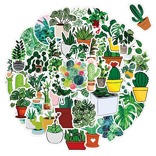 ANCIARY Vinyl Stickers for Laptop, Mobile Phones, Computer, Bicycle, Bike, Luggage, Scrapbook, Guitar |Waterproof Stickers|Plant (Pack of 50) Q (B0C6TYKB9Q) Amazon Price History, Amazon Price Tracker