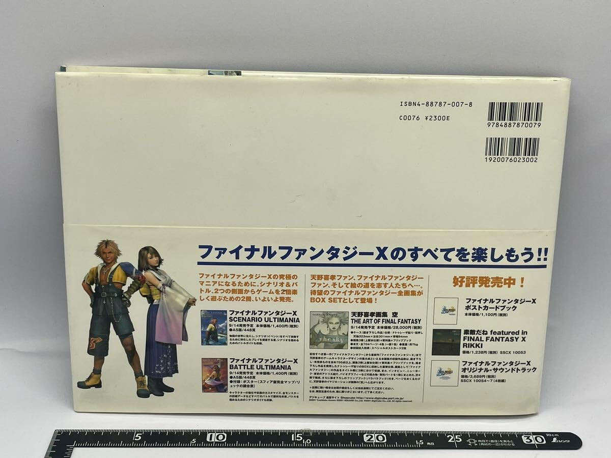 Amazon.co.jp: ファイナルファンタジーX ビジュアルアートコレクション