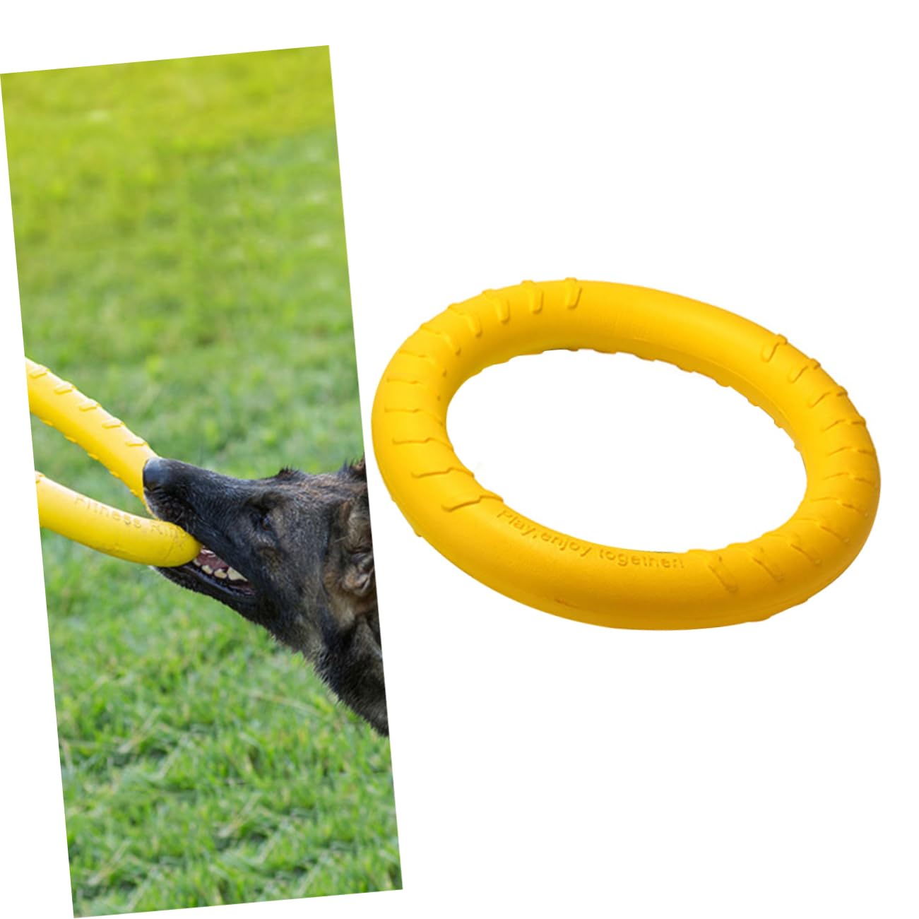 BESPORTBLE 2 Piezas Anillo de Eve eva Dog Toys Orange Juguetes para Perros Cachorros Anillo de Juguete para Mascotas Juguetes para morder Perros Cuidado Disco Volador