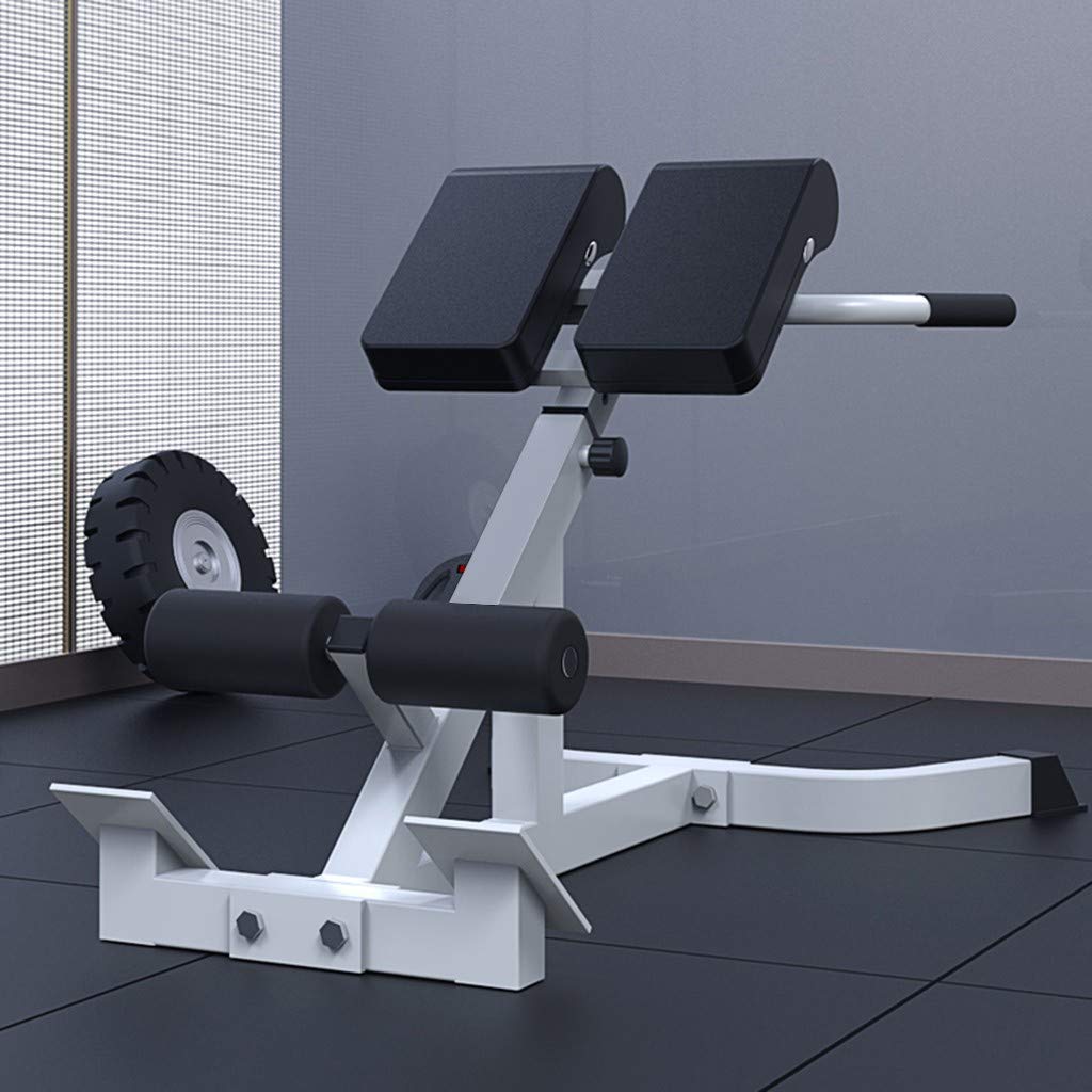 TANGON Bench Roman Chair Back Hyperextension/ Hyper Back Extension